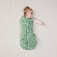 Load image into Gallery viewer, ergoPouch Cocoon Swaddle Bag 2.5tog
