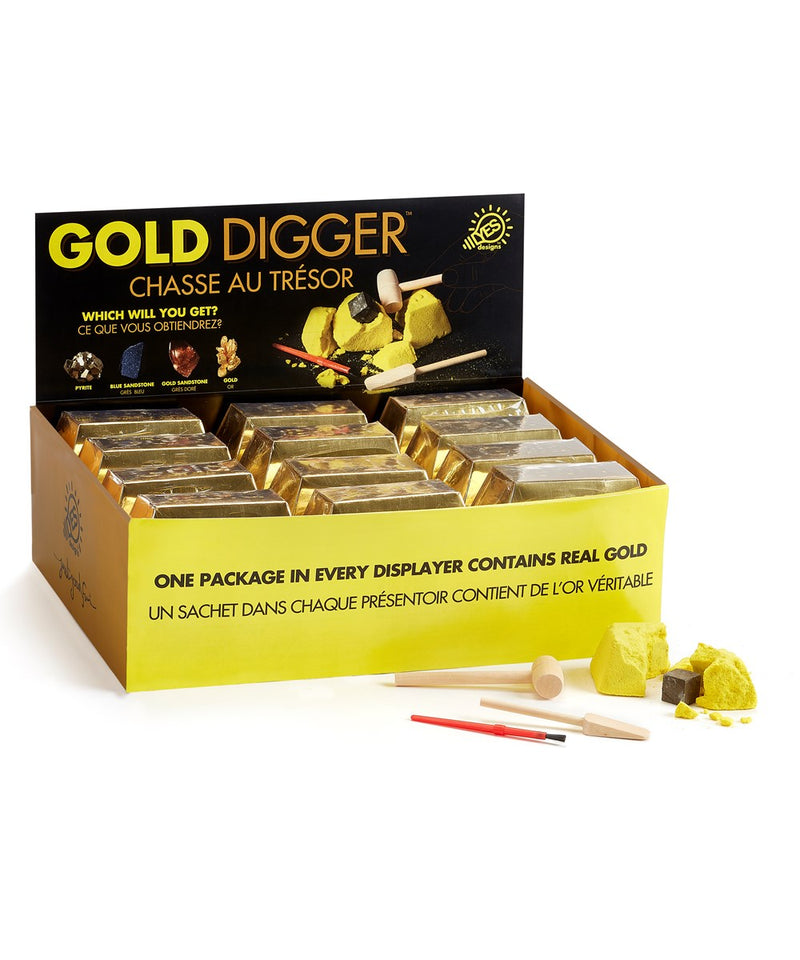 Yes Designs Gold Bar Dig Out Kit Chicken Little Shop