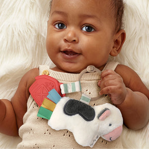 Itzy Ritzy Itzy Pal Plush + Teether Infant Toy